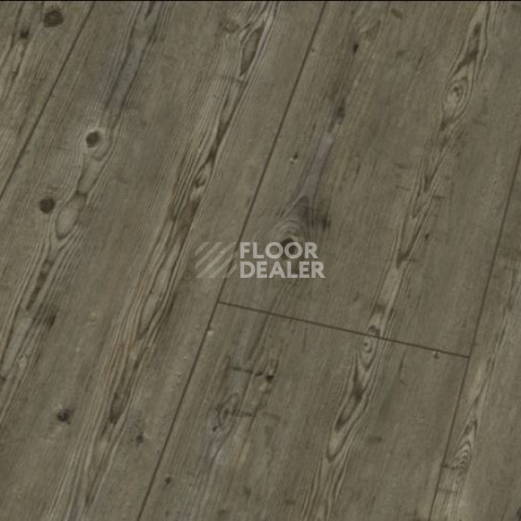 Ламинат Falquon Blue Line Wood 8mm D3546 PRIGNITZ PINE фото 1 | FLOORDEALER